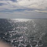 Peter Mosher - @petemosher - Instagram