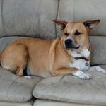 Peter Mosher - @peter.mosher.9 - Instagram