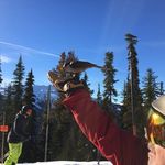 Peter Mosher - @peter.mosher - Instagram