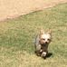 Peter Moskowitz - Facebook