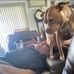 Peter Mucci - Facebook
