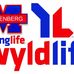 Peter Muhlenberg Wyldlife - Facebook