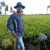 petermuhoro - @user85319819490253 - TikTok