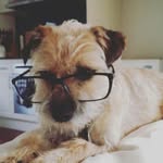 Pete Muldoon - @pistolpete595 - Instagram