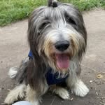 Peter Mullins - @petermullins51 - Instagram