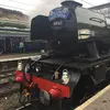Peter Mullins69 - @petermudman - TikTok