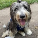 Peter Mullins - @petermullins51 - Instagram
