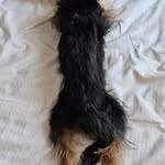Thomas Peter Münch - @thomaspetermunch - Instagram