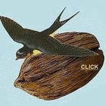 Peter Murdock - @pkmurdock01 - Instagram