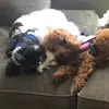 petermurrr0 - @petermurrr0 - TikTok