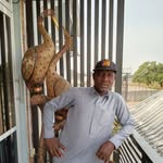 Peter Musa - @peter.musa - Instagram
