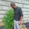 Peter Musau - @peter.musau55 - TikTok