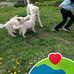 Peter Muth - Facebook