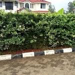 Peter Muthamia Bita Muthamis - @petermuthamiabitamuthamis - Instagram
