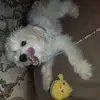 Peter Mutia - @peter.mutia1 - TikTok