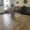 naschkejr.david - @naschkejr.david - TikTok