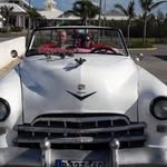 Peter Nau - @peter.nau.31 - Instagram