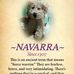 Pedro Navarra - Facebook