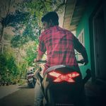 red fox - @navin.peter - Instagram
