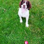 Peter Needham - @peter.needham.7946 - Instagram
