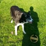 peter needham - @needham2765 - Instagram