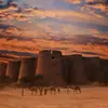 neelypeter - @neelypeter - TikTok