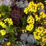 @peterneely - Instagram