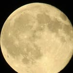 Peter Neuman - @peter.neuman.5030 - Instagram