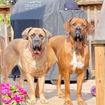 Peter Neuman - @neumanp1948 - Instagram