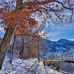 Peter Neumann - Facebook