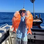 Peter Newbold - @petetnewbold - Instagram