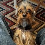 Peter S Newbold - @peter.newbold23 - Instagram