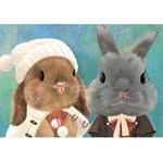 小朱醫師特殊小寵物的知識智庫 - @peternick_rabbit - Instagram