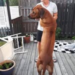 Peter Nord - @peppe_nord - Instagram