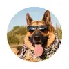 Peter Nord - @peter.nord0 - TikTok