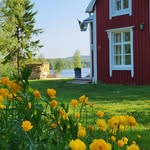 Peter Norrman - @torparn_jagar_och_lagar - Instagram