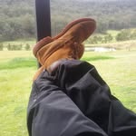 Peter Novis - @peternovis - Instagram