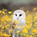 Peter Null - @peternull4964 - Instagram