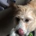 Peter Null - Facebook