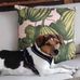 Peter Null - Facebook