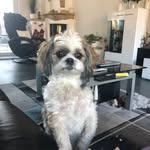 Peter Spatzierer - @peternullnullsieben - Instagram