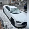 piter null - @peter.null2 - TikTok