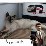 Peter Nunn - @peter.nunn.14 - Instagram