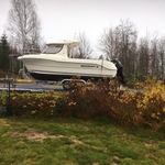 @peter.nystrom - Instagram
