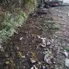 Peter Odom - @peterodom183 - TikTok