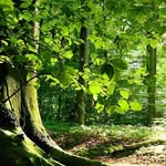 peter okolo - @okolo2159 - Instagram