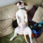 Peter Olinger - @olingerpeter - Instagram