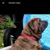 Peter Olsen - @peter.olsen - TikTok