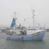 Peter Olsen - @peter2005_ - TikTok