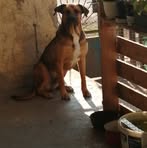 Peter Orban - Facebook